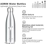 Aorin 500ml Trinkflasche (Silber) - 2